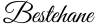 bestehane logo